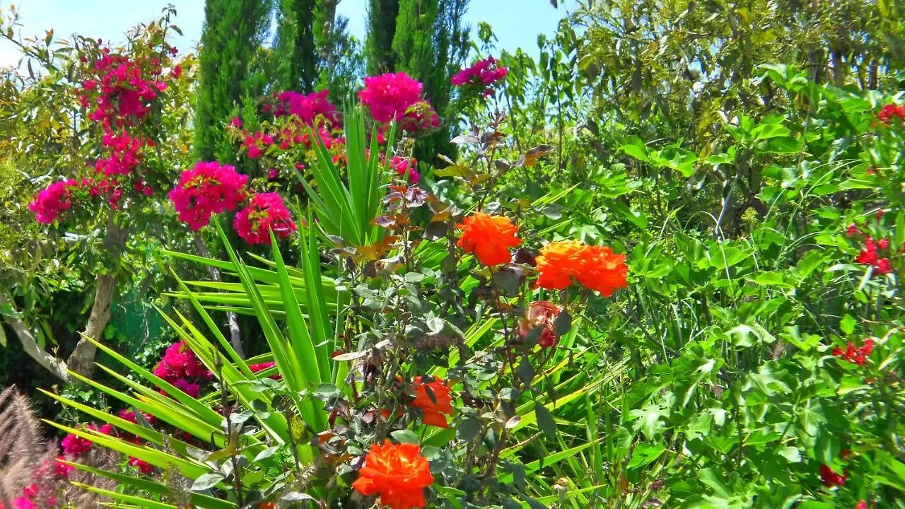 Villa Jazmin - C&G Frigiliana